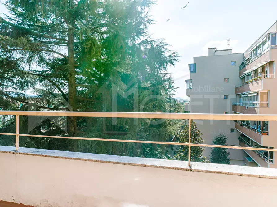 Immagine 24 di Quadrilocale in vendita  in Via del Vigna a Livorno