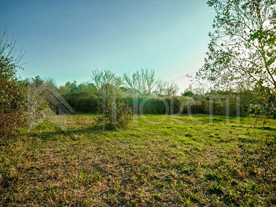 Immagine 38 di Terreno agricolo in vendita  in Via delle Sorgenti a Livorno