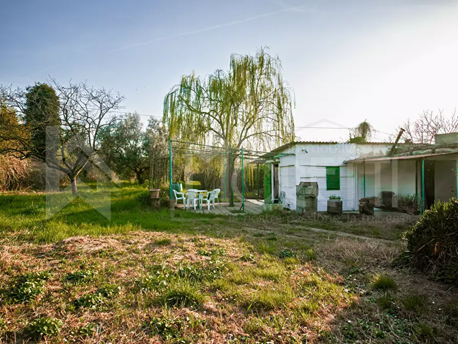 Immagine 6 di Terreno agricolo in vendita  in Via delle Sorgenti a Livorno