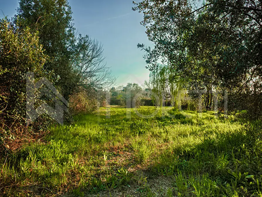 Immagine 34 di Terreno agricolo in vendita  in Via delle Sorgenti a Livorno