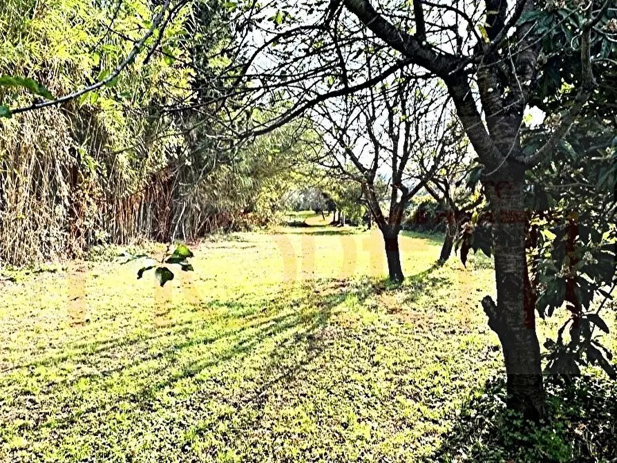 Immagine 4 di Terreno agricolo in vendita  in Via delle Sorgenti a Livorno