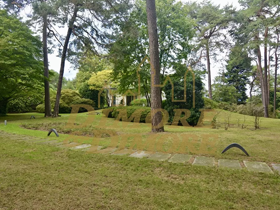 Immagine 45 di Villa in vendita  a Ranco