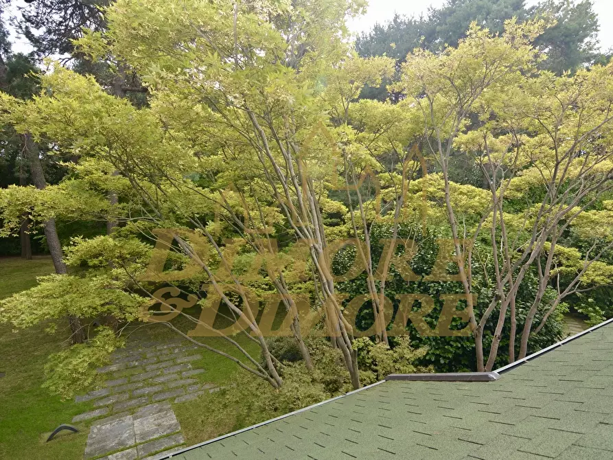 Immagine 49 di Villa in vendita  a Ranco