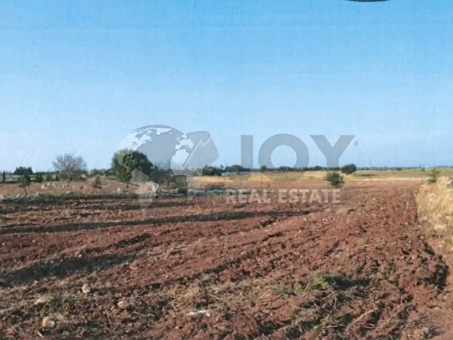 Immagine 2 di Terreno agricolo in vendita  in Via del Codibugnolo a Lecce