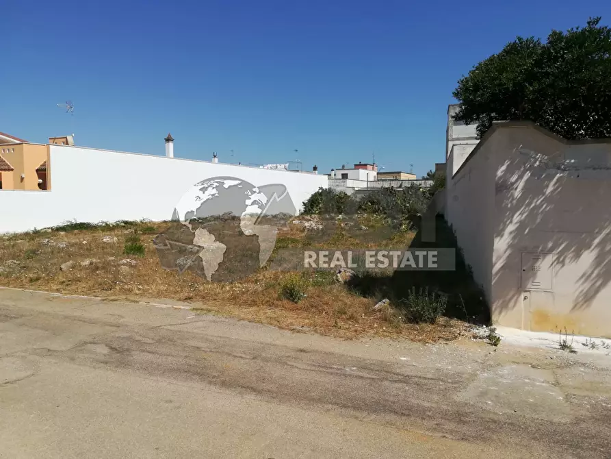 Immagine 14 di Terreno agricolo in vendita  in via morandi a San Donato Di Lecce