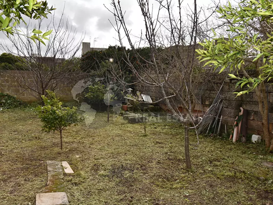 Immagine 31 di Casa indipendente in vendita  in Via Montello 28 a Zollino