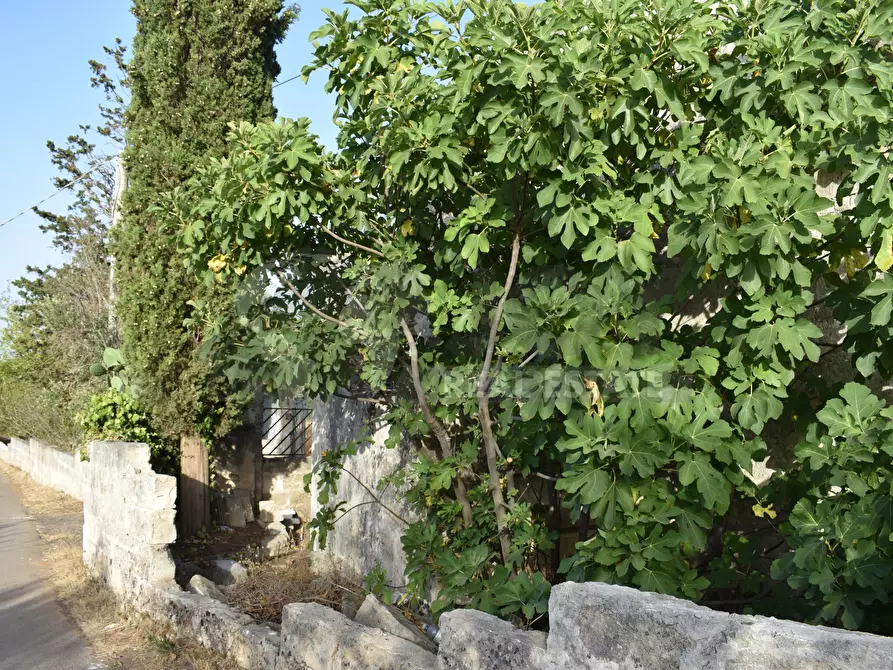 Immagine 17 di Villa in vendita  in Strada Comunale Castello Forcignano 26 a Galatone