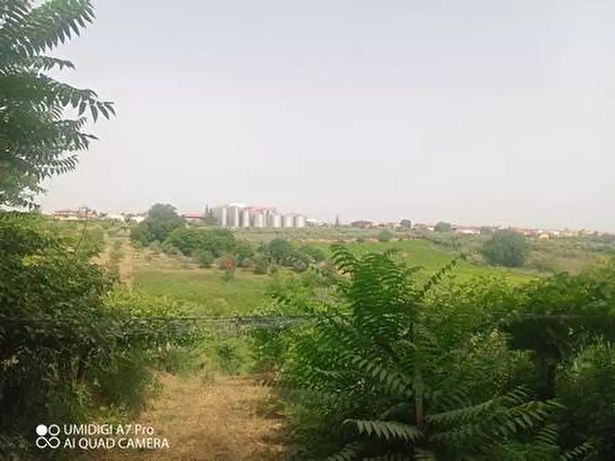 Immagine 19 di Terreno agricolo in vendita  in C.DA VILLA STANAZZO a Lanciano
