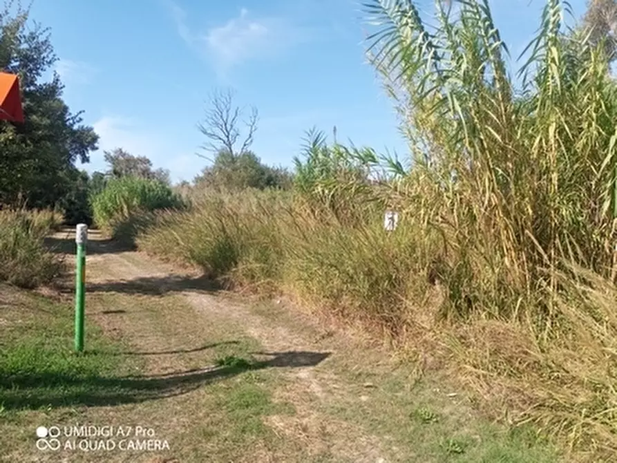 Immagine 2 di Terreno agricolo in vendita  in LOCALITA' SALETTI a Atessa