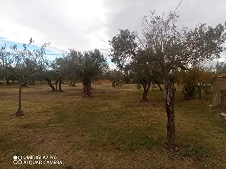 Immagine 11 di Rustico / casale in vendita  in VIA VECCHIA SCORCIOSA a Fossacesia