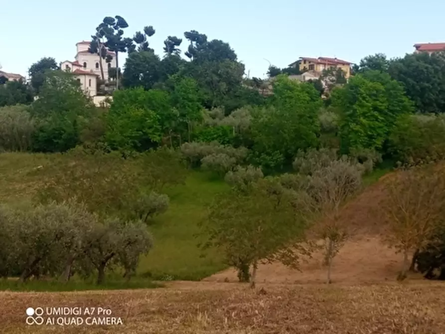 Immagine 12 di Terreno agricolo in vendita  in CONTRADA MARCIANESE a Lanciano