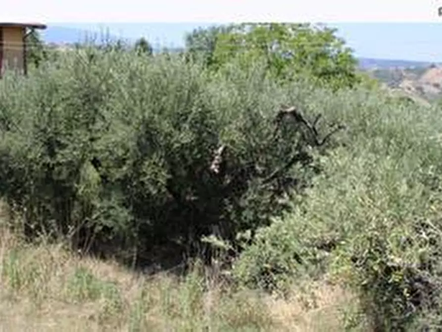 Immagine 48 di Terratetto in vendita  in CONTRADA TORRE MARINO a Lanciano