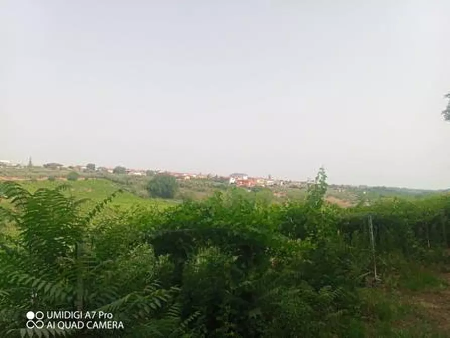 Immagine 16 di Terreno agricolo in vendita  in C.DA VILLA STANAZZO a Lanciano