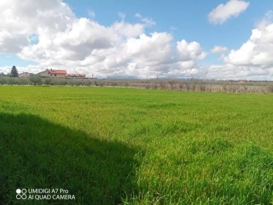 Immagine 8 di Terreno agricolo in vendita  a Fossacesia