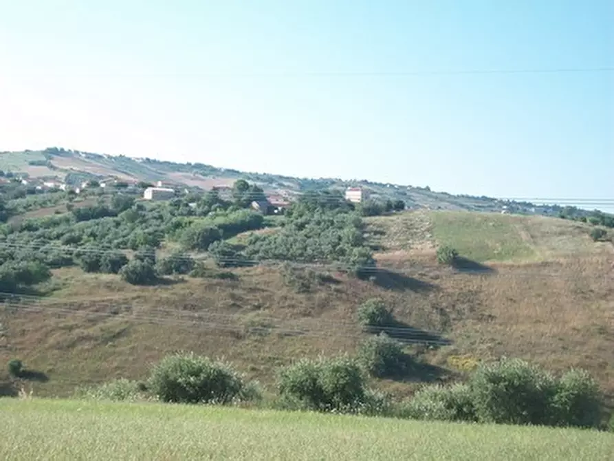 Immagine 21 di Terreno agricolo in vendita  in C.DA RIZZACORNO a Lanciano