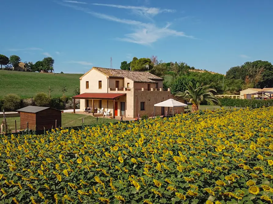 Immagine 1 di Rustico / casale in vendita  a Monsano