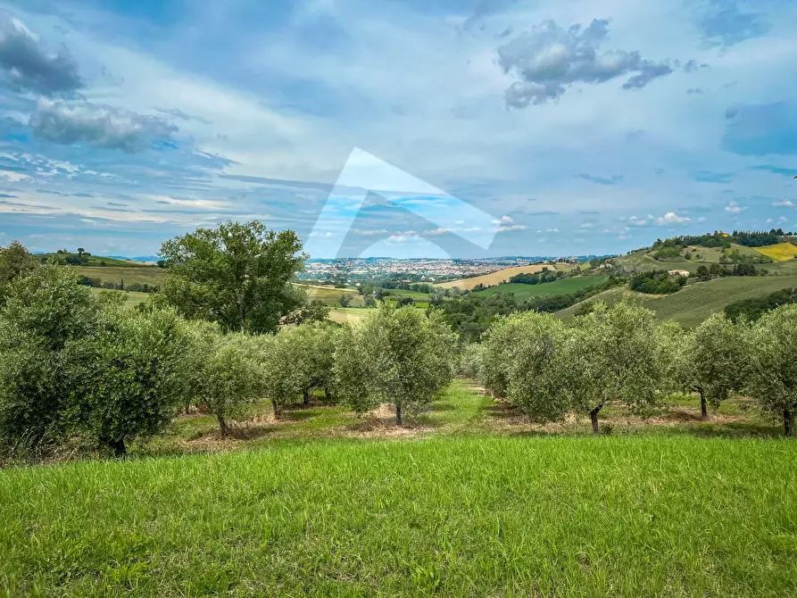 Immagine 19 di Rustico / casale in vendita  a Jesi