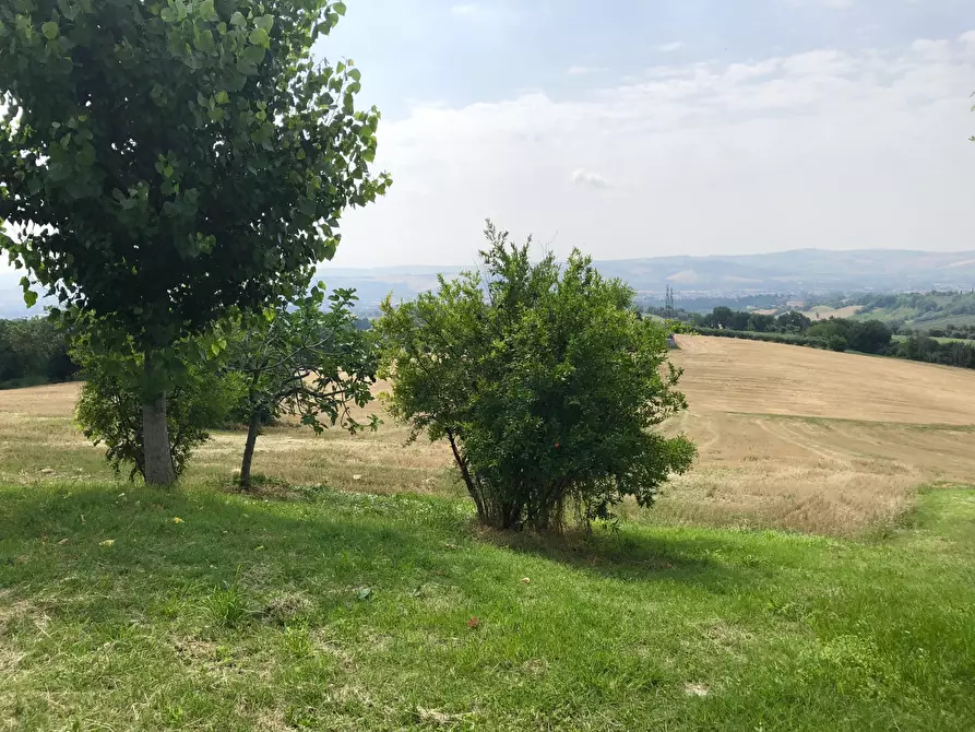 Immagine 3 di Terreno agricolo in vendita  a Jesi