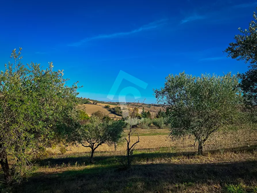 Immagine 4 di Rustico / casale in vendita  a Senigallia