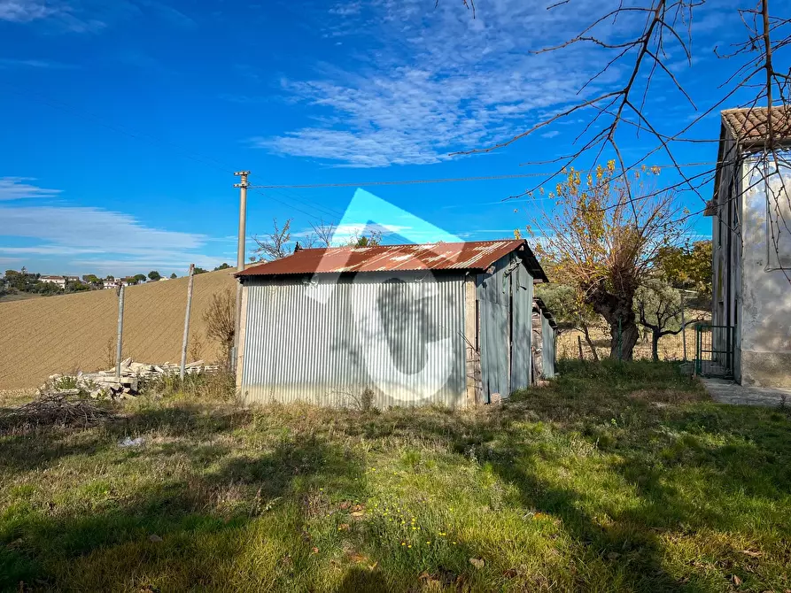 Immagine 26 di Rustico / casale in vendita  a Belvedere Ostrense