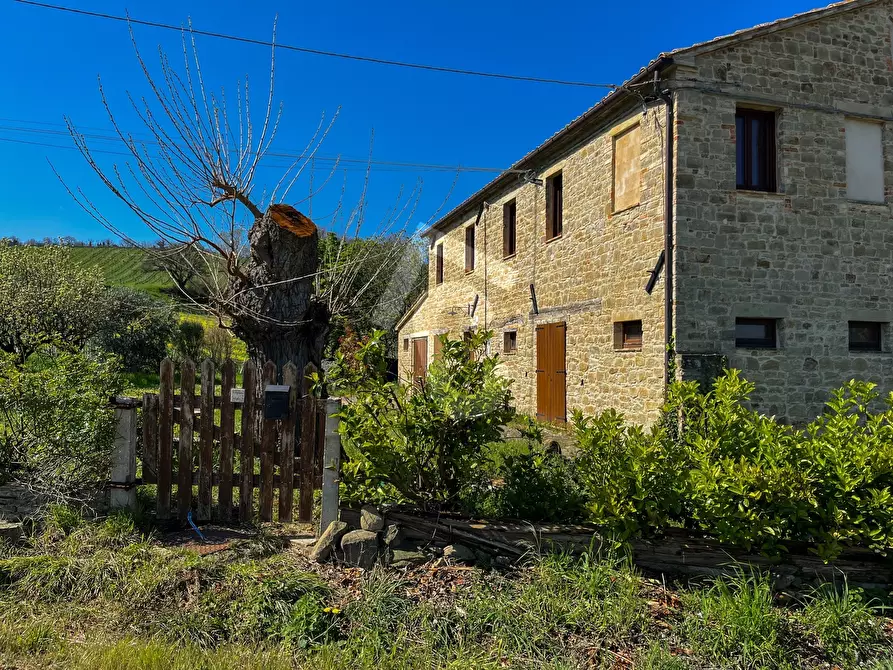 Immagine 6 di Rustico / casale in vendita  a Serra San Quirico