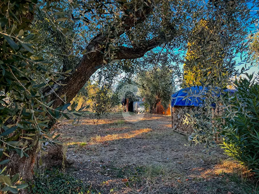 Immagine 8 di Casa indipendente in vendita  a Montecarotto