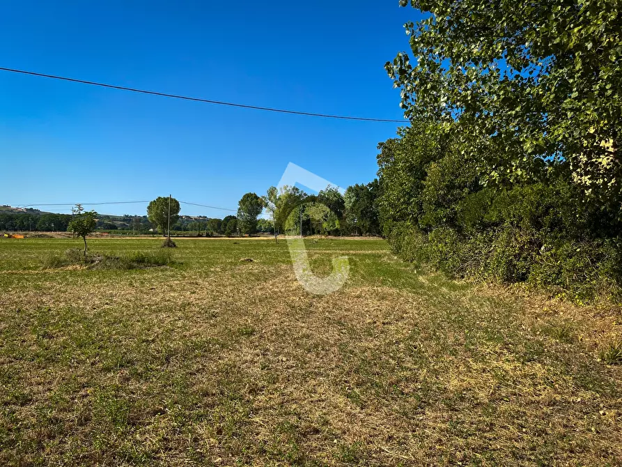 Immagine 5 di Rustico / casale in vendita  a Senigallia