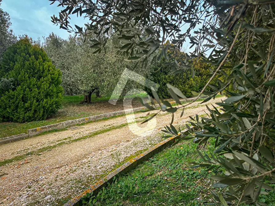 Immagine 2 di Terreno edificabile in vendita  a Jesi