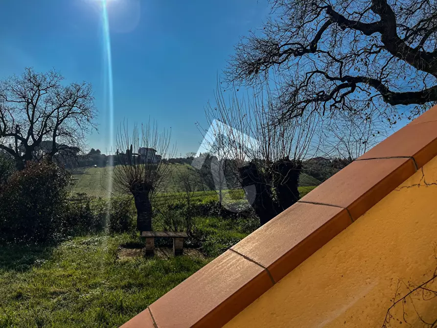 Immagine 35 di Rustico / casale in vendita  a Jesi