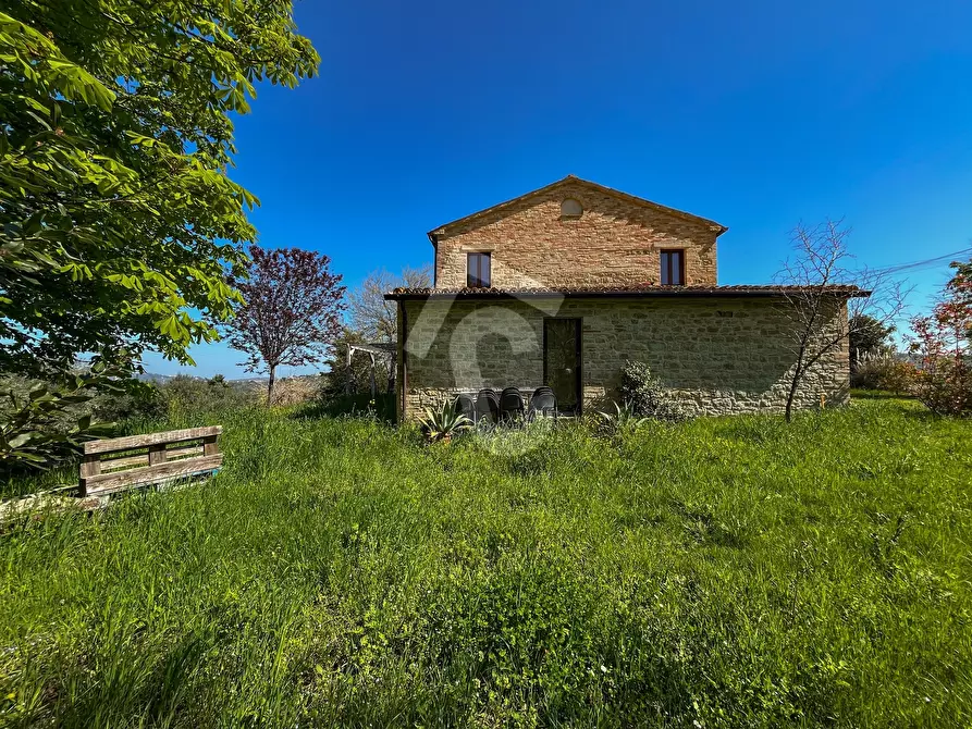 Immagine 13 di Rustico / casale in vendita  a Serra San Quirico