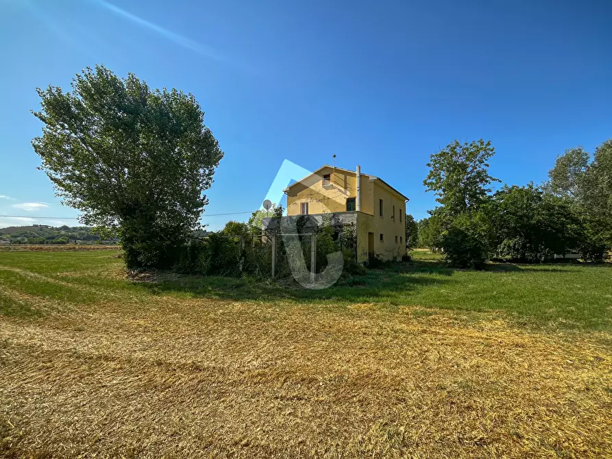 Immagine 4 di Rustico / casale in vendita  a Senigallia