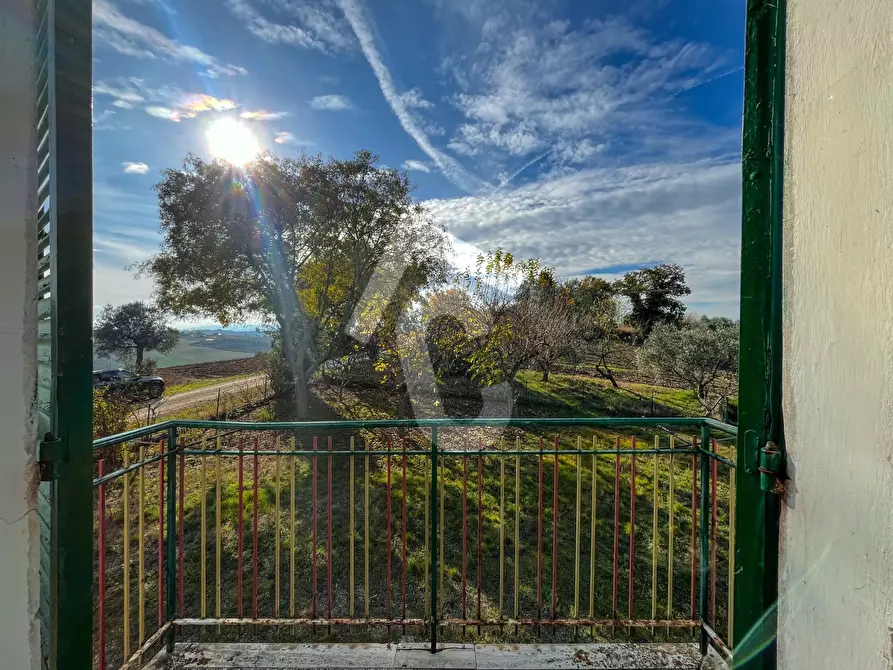 Immagine 10 di Rustico / casale in vendita  a Belvedere Ostrense