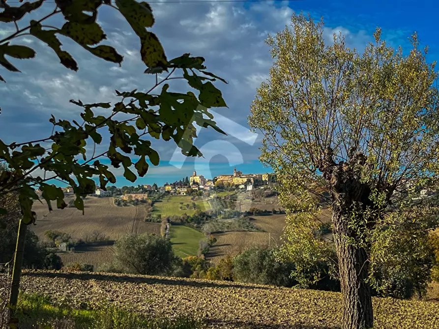Immagine 4 di Rustico / casale in vendita  a Belvedere Ostrense