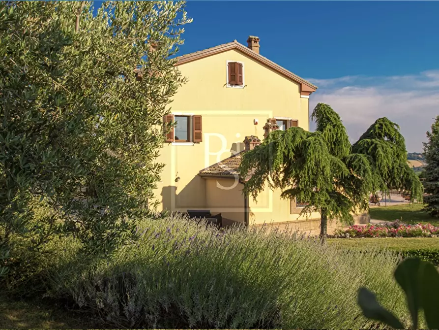 Immagine 28 di Villa in vendita  a Senigallia