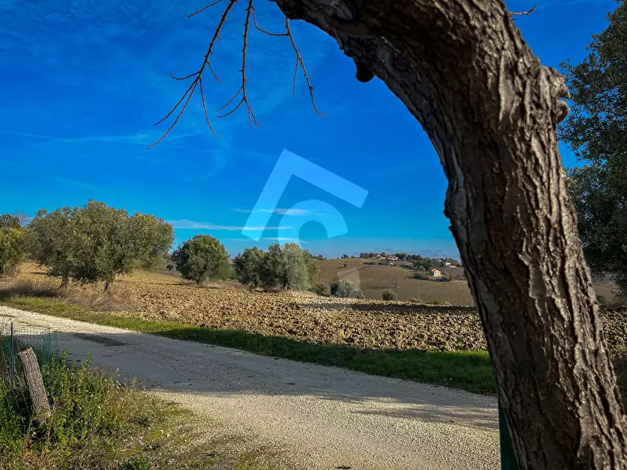 Immagine 33 di Rustico / casale in vendita  a Belvedere Ostrense