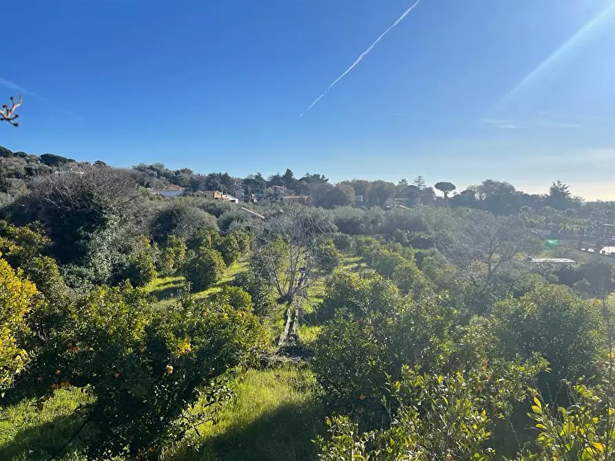Immagine 6 di Terreno industriale in vendita  a Trecastagni