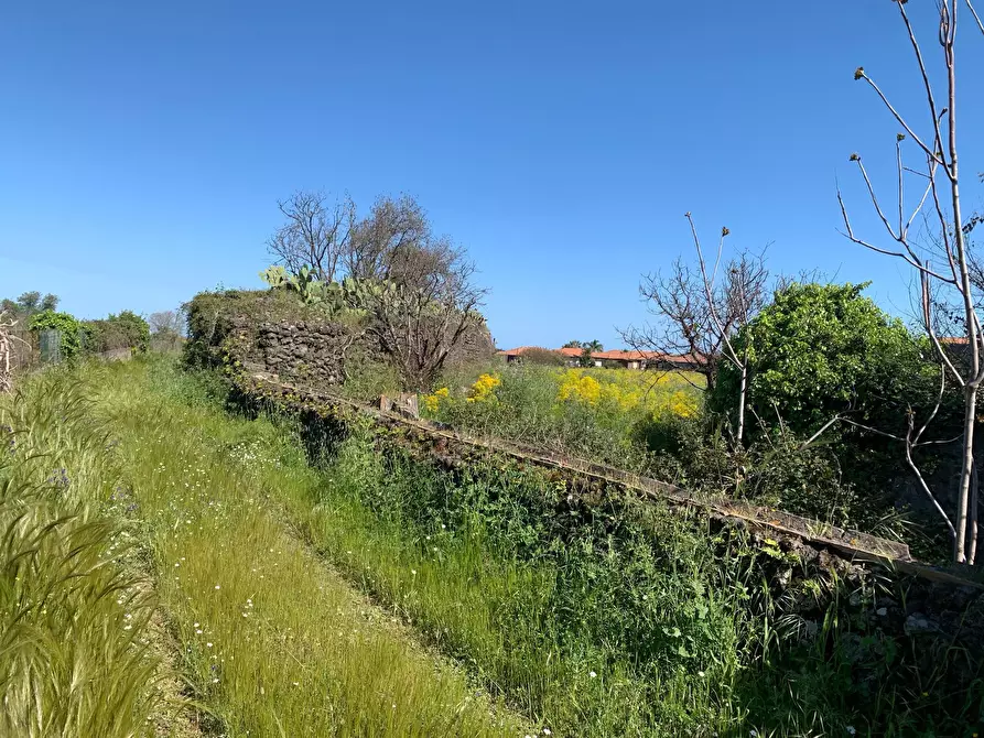 Immagine 2 di Terreno agricolo in vendita  a Tremestieri Etneo