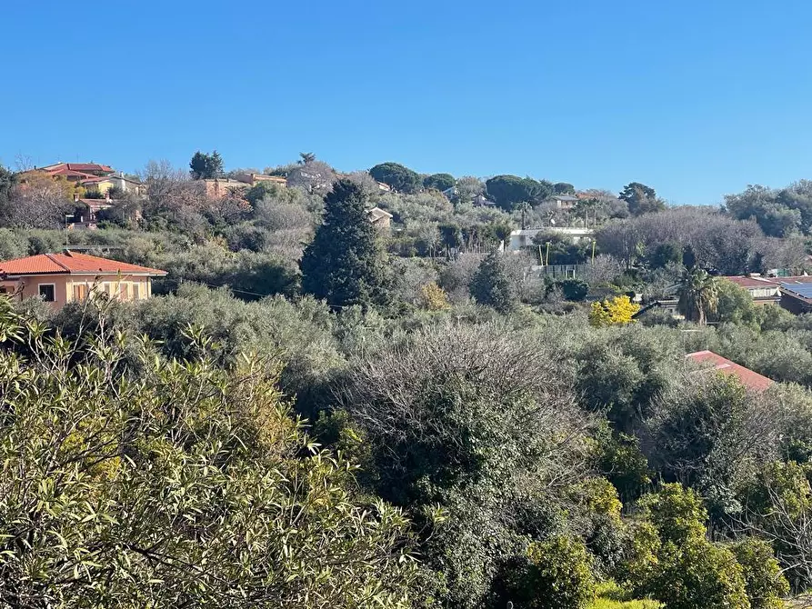 Immagine 35 di Terreno industriale in vendita  a Trecastagni