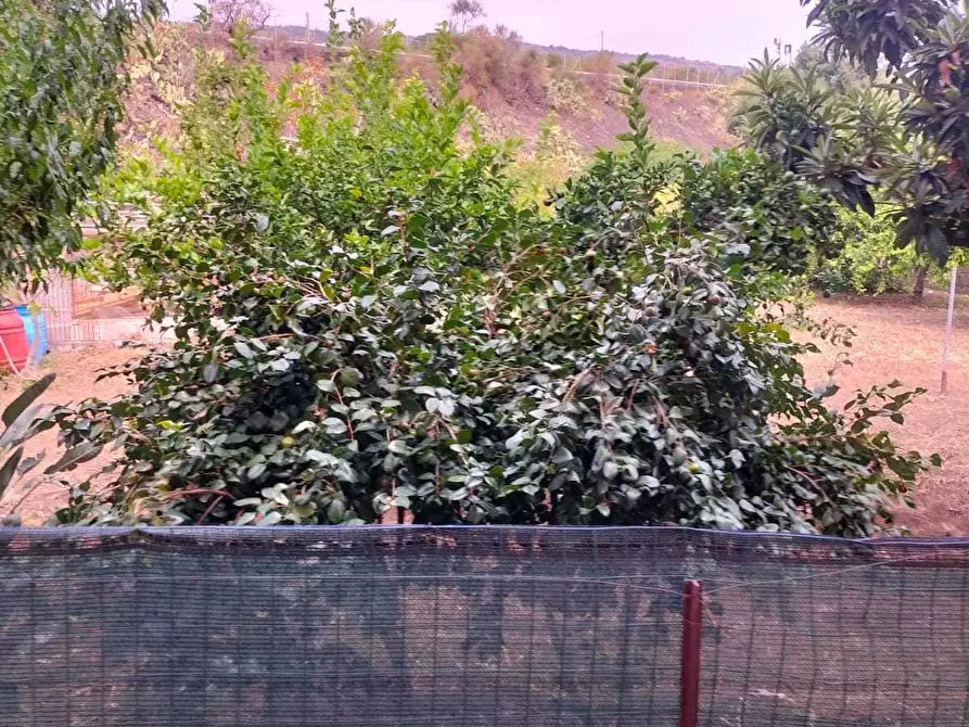 Immagine 12 di Appartamento in vendita  a Giarre