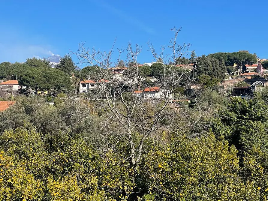 Immagine 33 di Terreno industriale in vendita  a Trecastagni