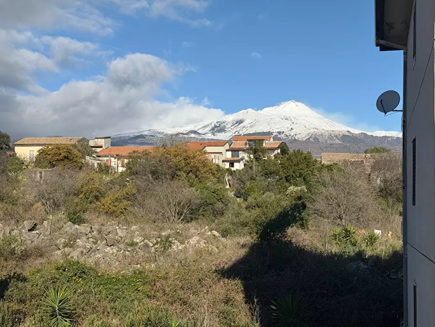 Immagine 15 di Appartamento in vendita  a Pedara