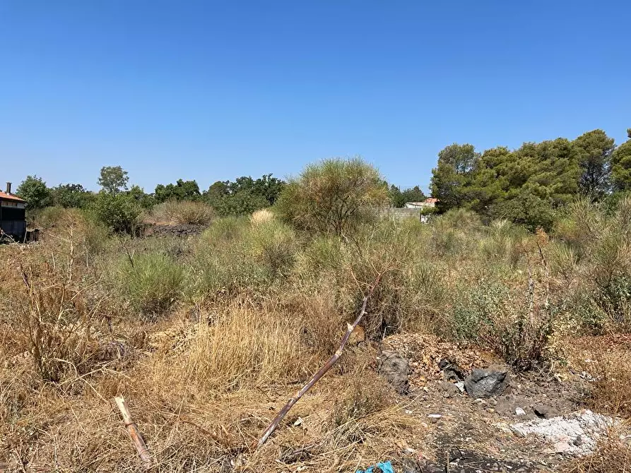 Immagine 10 di Terreno agricolo in vendita  a Tremestieri Etneo