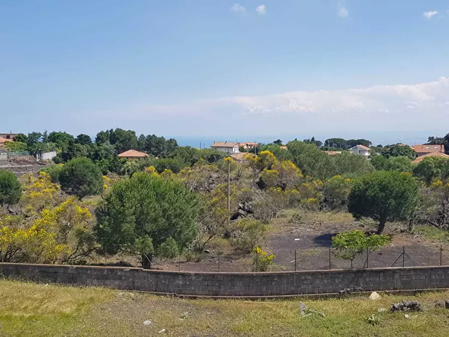 Immagine 1 di Casa indipendente in vendita  a Pedara