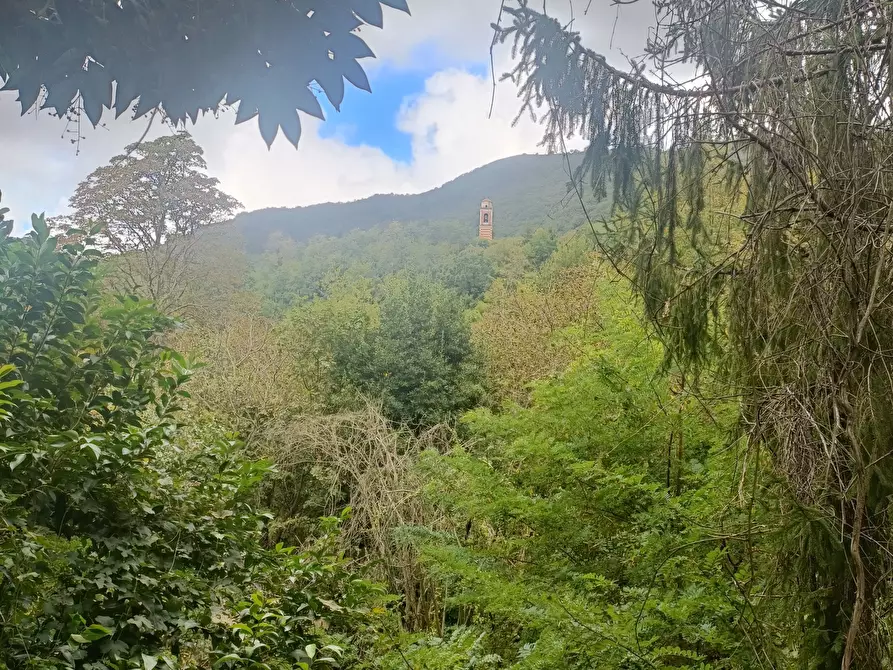 Immagine 22 di Casa indipendente in vendita  in Via Calcinara di Torbi 19 a Ceranesi
