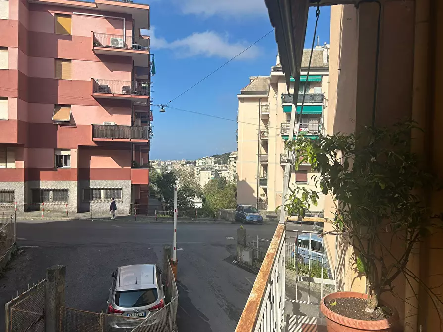 Immagine 16 di Quadrilocale in vendita  in Via Pasquale Berghini 38 a Genova