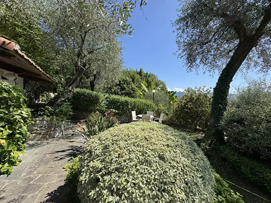 Immagine 4 di Casa indipendente in vendita  in Via San Massimo 106 a Rapallo