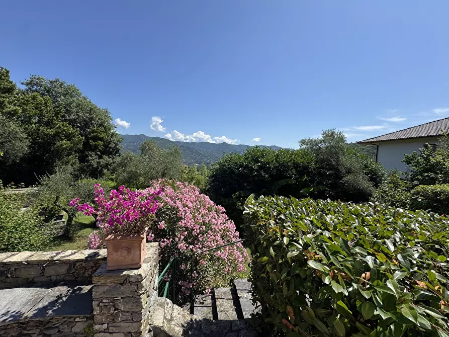 Immagine 96 di Casa indipendente in vendita  in Via San Massimo 106 a Rapallo