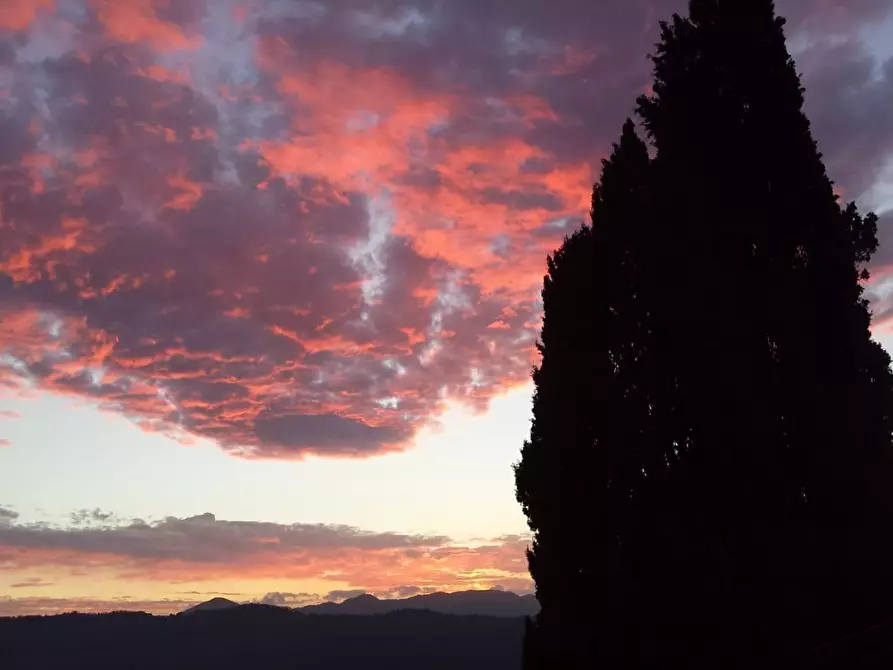 Immagine 53 di Casa semindipendente in vendita  in Via Pascoli 1 a Fivizzano