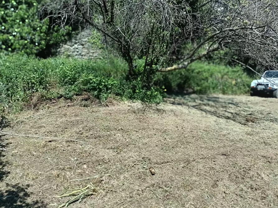 Immagine 43 di Casa indipendente in vendita  in Via Campomarzio 9 a Varazze