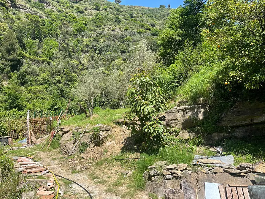 Immagine 14 di Casa semindipendente in vendita  in Via Molinetti di Nervi 32 a Genova